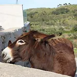 Casas Do Aidro Freches