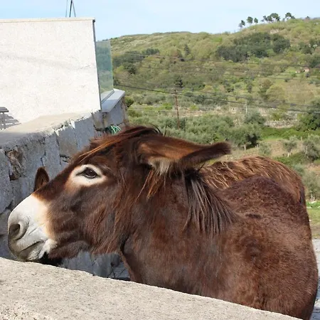 Casas Do Aidro Freches