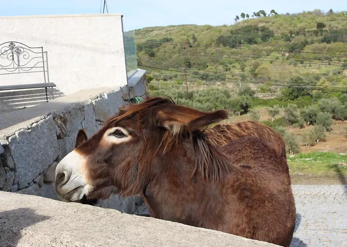 Casas Do Aidro Freches